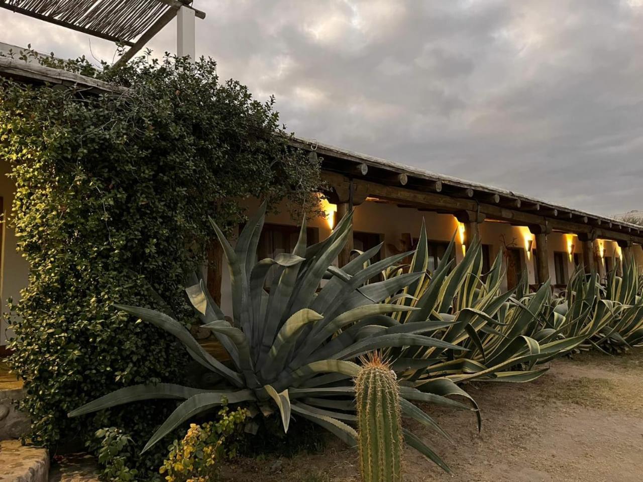كفايات Hotel Texas المظهر الخارجي الصورة